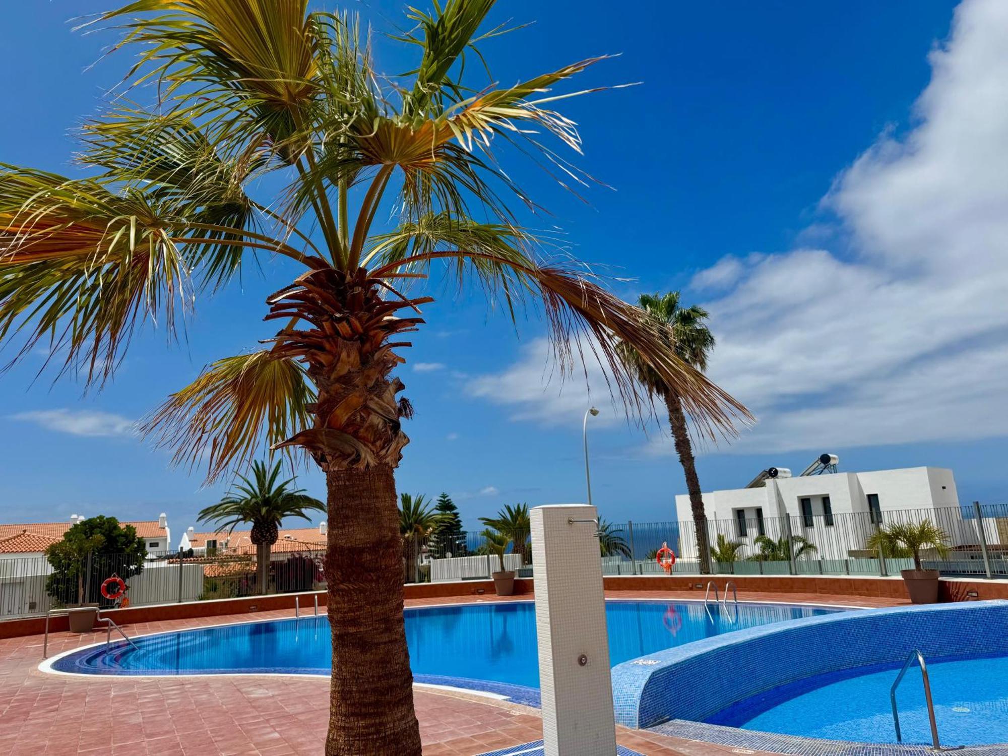 Stunning Apartments With Pool Tenerife Costa Adeje  Εξωτερικό φωτογραφία